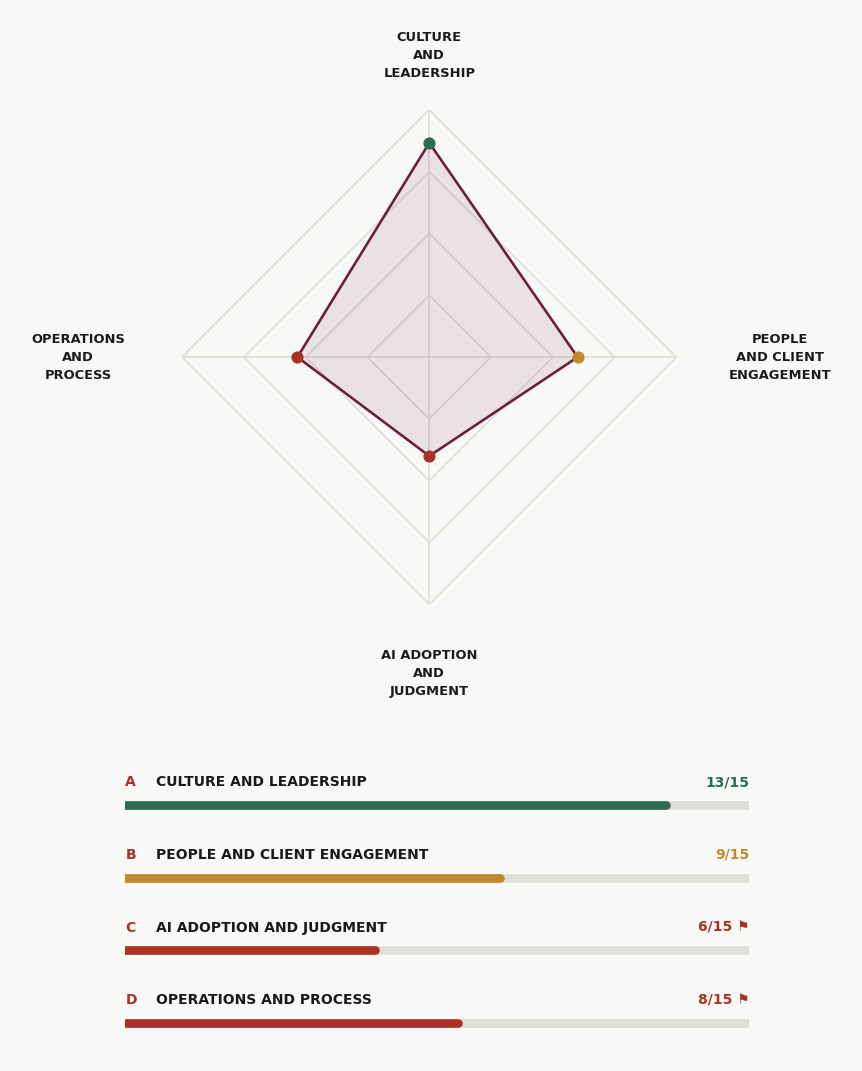 Sample diagnostic report: a four-area spidergram with group scoring across Culture and Leadership, People and Client Engagement, AI Adoption and Judgment, Operations and Process